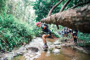 BIB: 
                            <button type="button" onclick="openModal(25374700)" class="btn btn-primary btn-sm float-right btn-popup" data-toggle="modal" data-target=".modal-high-quality">
                        <i class="fas fa-shopping-cart"></i> Add to Cart
                    </button>
                                            <button type="button" onclick="isThisMe(25374700, true)" class="btn btn-success btn-sm float-right btn-popup btn-isme hidden" data-toggle="tooltip" data-placement="bottom" title="นี่คือรูปของคุณใช่ไหม คลิกที่นี่เพื่อเอาเข้าอัลบั้ม">
                        <i class="fas fa-plus"></i> Add to album
                    </button>
                    <button type="button" onclick="isThisMe(25374700, false)" class="btn btn-warning btn-sm float-right btn-popup btn-isnotme hidden">
                        <i class="fas fa-ban"></i> Remove from album
                    </button>